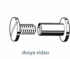Vidalar   DOSYA VİDASI